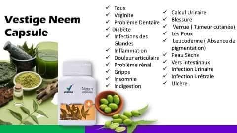 Vestige neem capsules